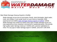 Best Water Damage Cleanup Experts in Suffolk