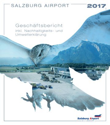 Geschäftsbericht 2017