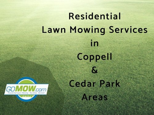 Are you looking for Next day Lawn mowing service  in Texas