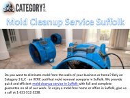 Mold Cleanup Service Suffolk