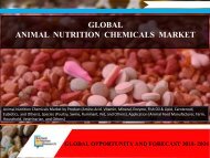 Global Animal Nutrition Chemicals Market Trends and Growth Analysis with Forecast- 2024