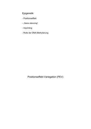 Epigenetik Positionseffekt-Variegation (PEV) - Online Media Server