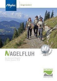 Nagelfluh Frühjahr-Sommer 2018