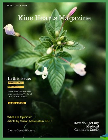 Kine Hearts Magazine JULY ISSUE