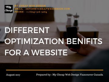 Different Optimization Benifits for a Website