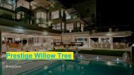 Prestige Willow Tree