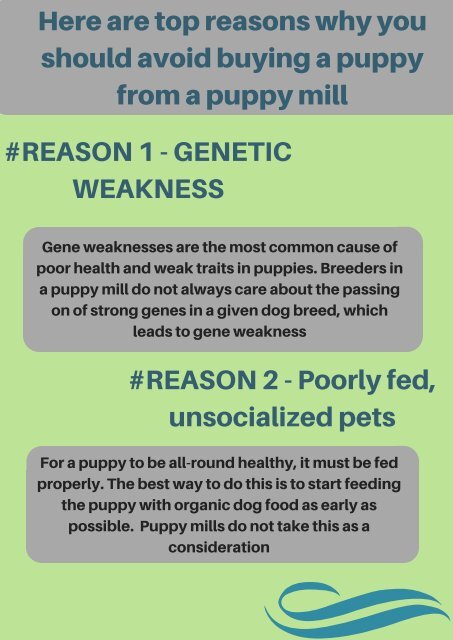 Organic Food for Pets and Puppys  | Pet and Baby Gates