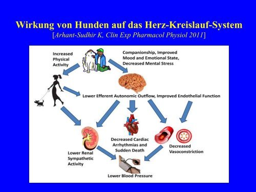 Positive Auswirkungen von Hunden auf die ... - Tiere als Therapie