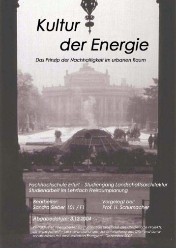 Sieber, Sandra: Kultur der Energie