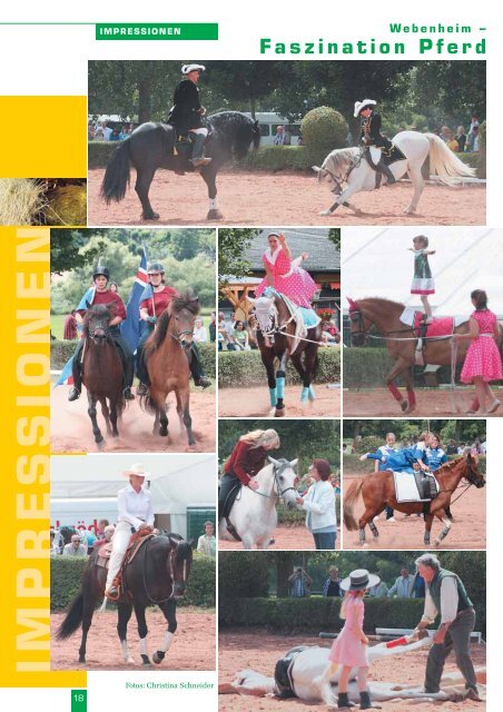 reiten Jagdreiten Special- Thema Islandpferde Vereins ... - Anne Adam