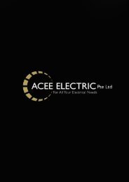 ACEE Company Profile