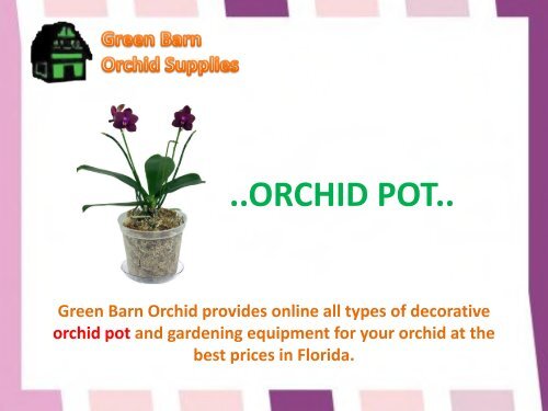 Orchid Pot for sale in Florida-Green Barn Orchid Supplies