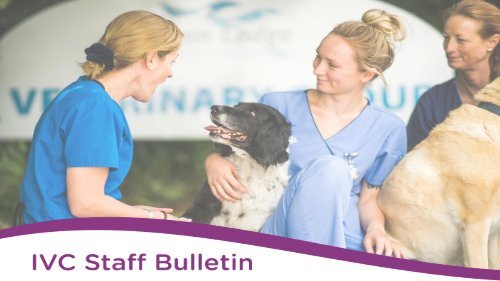 Staff Bulletin