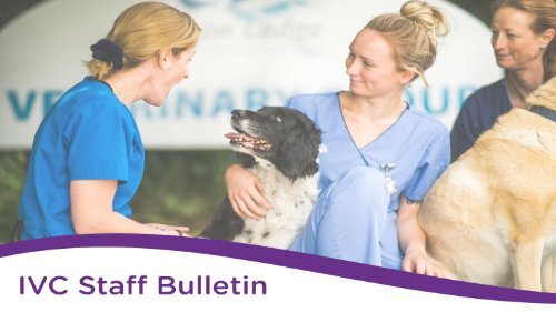 Staff Bulletin - Final