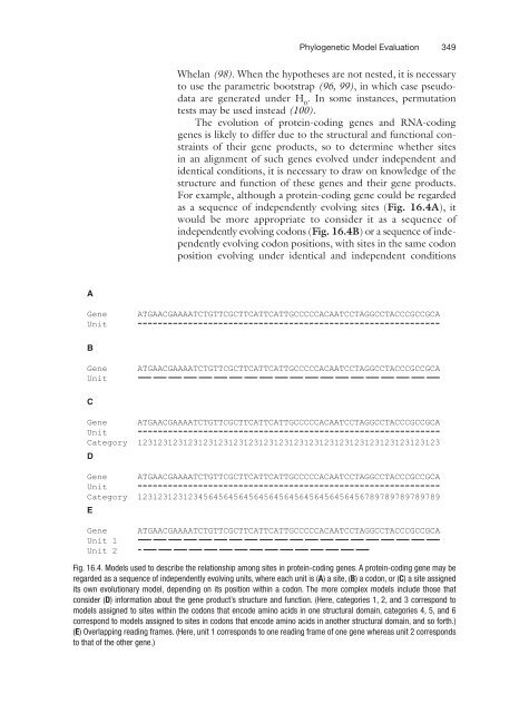 Bioinformatics, Volume I Data, Sequence Analysis and Evolution