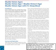 Mueller Hinton Agars Mueller Hinton Agar • Mueller Hinton II Agar ...