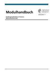Modulhandbuch - Materialwissenschaften