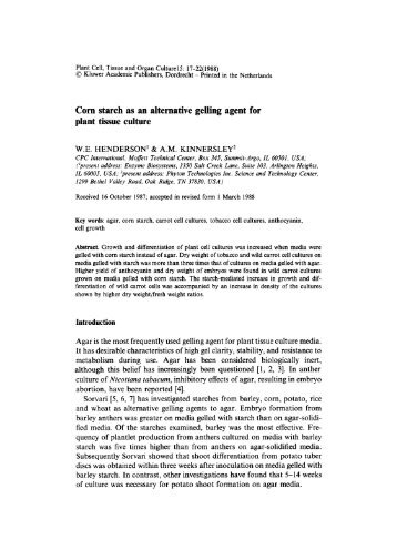 Corn starch as an alternative gelling agent for plant tissue culture