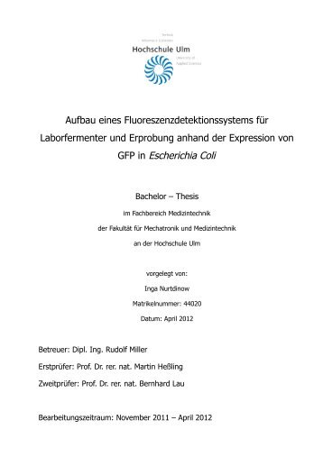 PDF 5.424kB - Hochschule Ulm