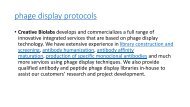 phage display protocols