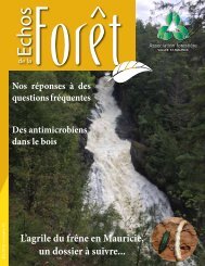 Échos de la forêt été 2018