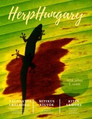 lefogy 1 hónapos kardiovaszkuláris gyakorlatok soráng