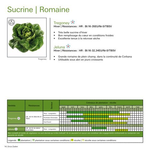 Salade Abri 2018-2019