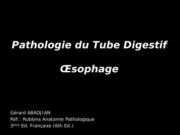 03_Digestif_01_Oesophage (1)