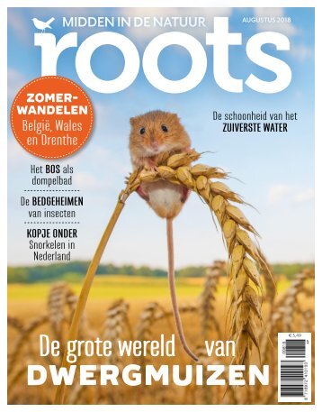 Roots editie 8 - augustus 2018