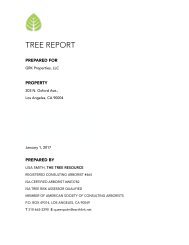 203 N. Oxford Ave Tree Report 012317