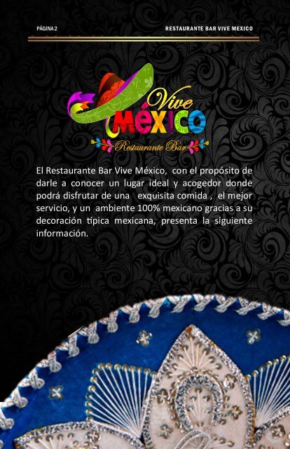 SERVICIOS VIVE MEXICO