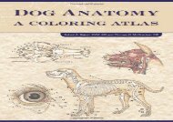 [+][PDF] TOP TREND Dog Anatomy: A Coloring Atlas: A Colouring Atlas  [DOWNLOAD] 