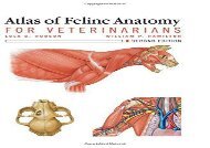 [+]The best book of the month Atlas of Feline Anatomy For Veterinarians [PDF] 