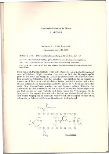 ZM451137Meixner.pdf