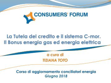 6. La Tutela del credito e il sistema C-mor.Il Bonus Energia gas ed energia elettrica (Toto)