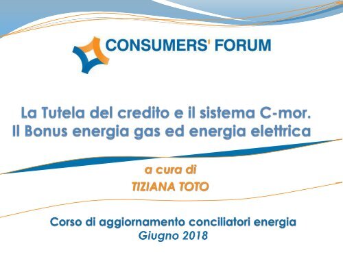 6. La Tutela del credito e il sistema C-mor.Il Bonus Energia gas ed energia elettrica (Toto)