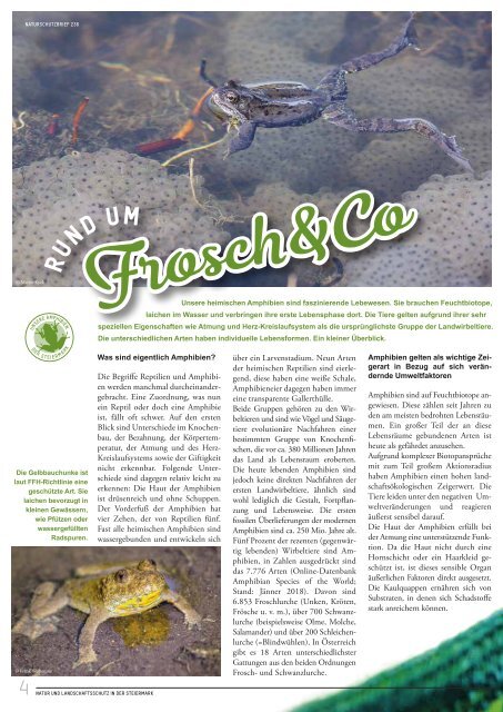 Naturschutz-Brief 236 Amphibien
