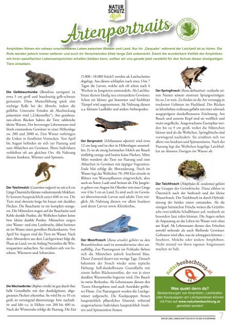Naturschutz-Brief 236 Amphibien