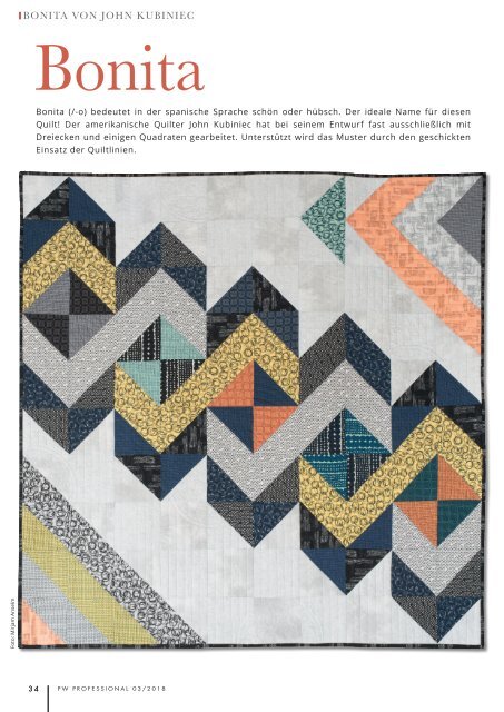 Patchwork Professional 03/2018