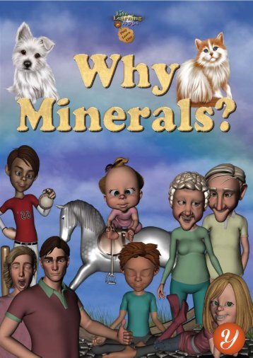 Why Minerals?