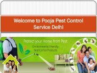Pooja Pest Control Service in Delhi
