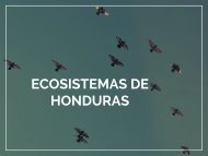 Ecosistemas de Honduras