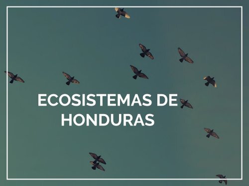 Ecosistemas de Honduras