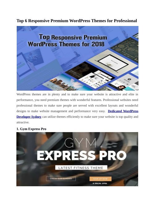 Top 6 Responsive Premium WordPress Themes for Professional