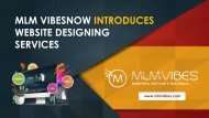 MLM VIBES NOW INTRODUCES WEBSITE DESIGNING SERVICES