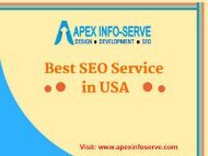 Best SEO Service in USA-Contact Apex Info-Serve