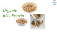 Organic Rice Protein