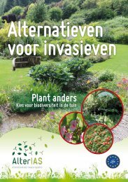 Alternatief voor invasieven plant