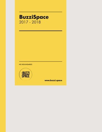 WEMA RaumKonzepte: BuzziSpace - Pocketcatalog 17/18