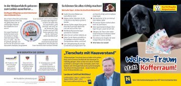 Kampagne: Welpen-Traum statt Kofferraum 